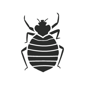 Disinfestazione cimici dei letti