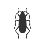 derrate-alimentari-icona derrate-alimentari-icona