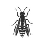 vespe-icona