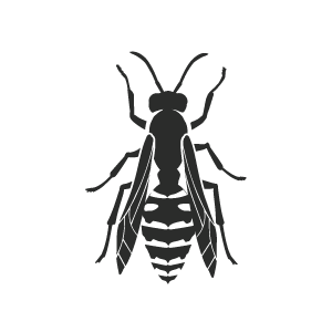 Disinfestazione vespe e calabroni