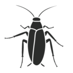 Disinfestazione scarafaggi e blatte