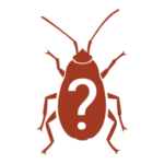 Infestante sconosciuto