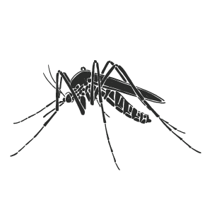 Disinfestazione Zanzare